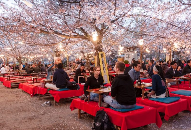 Budaya Hanami